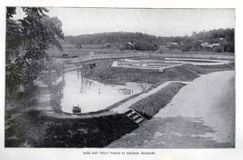 Bill Caldwell: Springs and railroads made hatchery possible